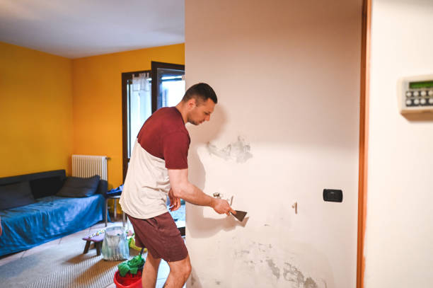 Best Localized Mold Remediation (e.g., coastal areas, humid climates) in Elleale, ND